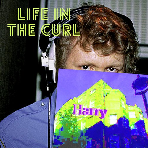 Life in the Curl