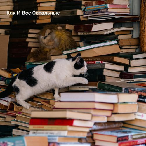 Как И Все Остальные