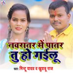Navratar Me Patar Ho Gailu