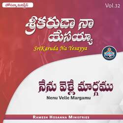 Nenu Velle Maargamu (Srikaruda)-GgE-aURjTQA