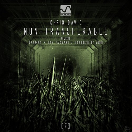 Non-Transferable (Lorenzo D'Ianni Remix) cover art