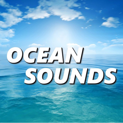 Invigorating Playa Del Rey Ocean Sounds