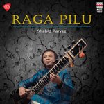 Raga Pilu - Taal Dadra