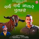 Rui Rui Baakre Pukaro