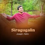 Siragugalin