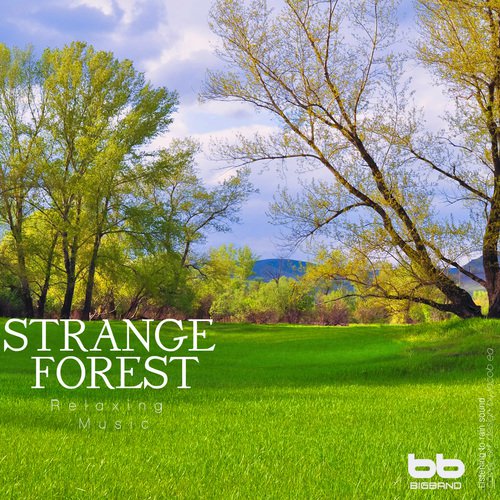 Strange Forest from Mother's Imagination