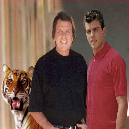 Tiger 2020 (7th Heaven Radio Mix)_poster_image