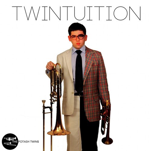 Twintuition_poster_image