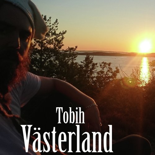 Som en sommarnatt cover art
