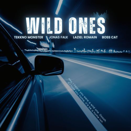 Wild Ones
