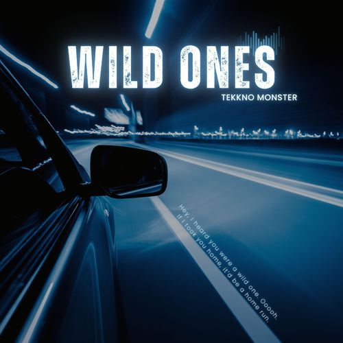 Wild Ones (Club Mix)