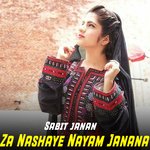 Za Nashaye Nayam Janana