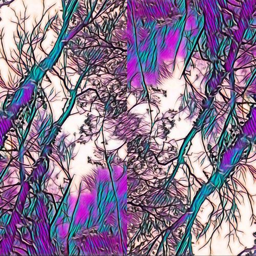curve norm cover art