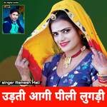 udati aage pili lugadi