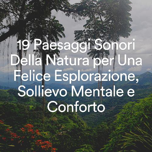 19 Paesaggi Sonori Della Natura per Una Felice Esplorazione, Sollievo Mentale e Conforto