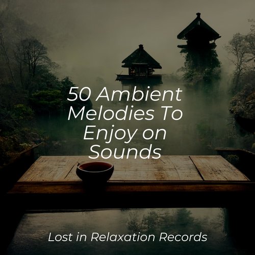 50 Ambient Melodies To Enjoy on Sounds_poster_image