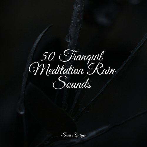 50 Tranquil Meditation Rain Sounds