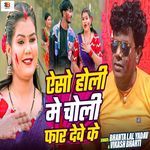 Aeso Holi Me Choli Far Deve Ke
