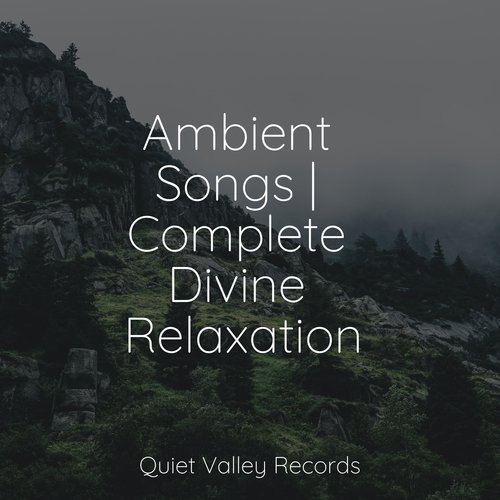 Ambient Songs | Complete Divine Relaxation For Dogs