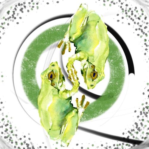 Frogpond cover art