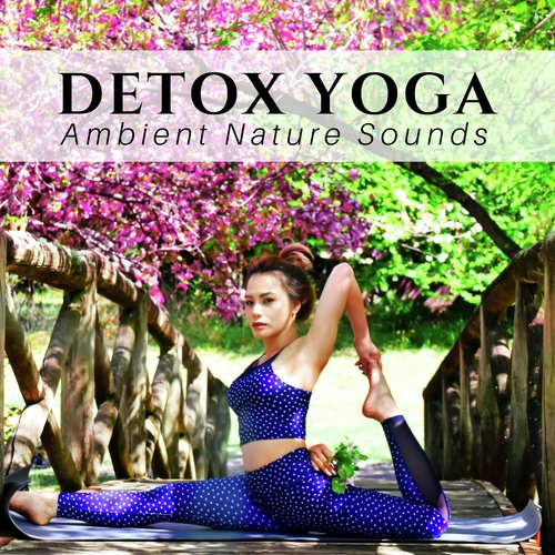 Meditation Masters cover art