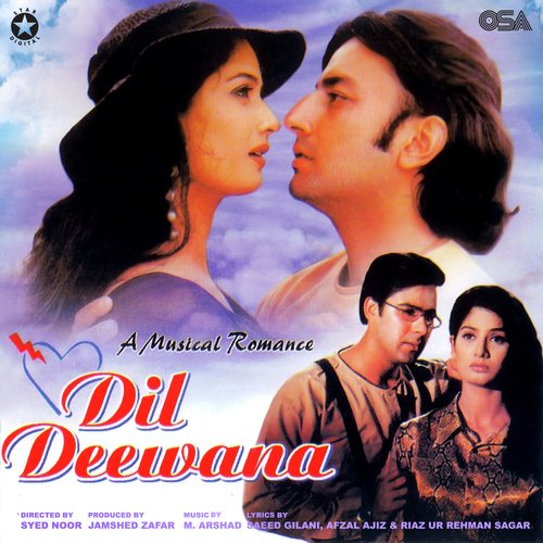 Dil Deewana_poster_image