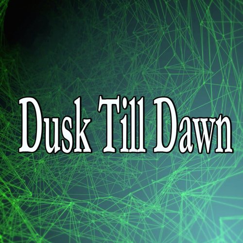 Dusk Till Dawn (Homage to Zayn)