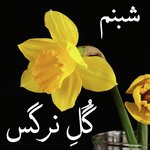 Jan Me Noori da Chashmani Me