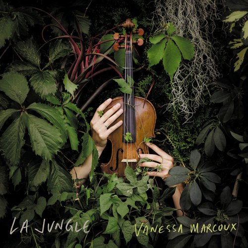 Chute libre cover art
