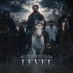 Level