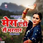 Mera Andy Sai Bhartar