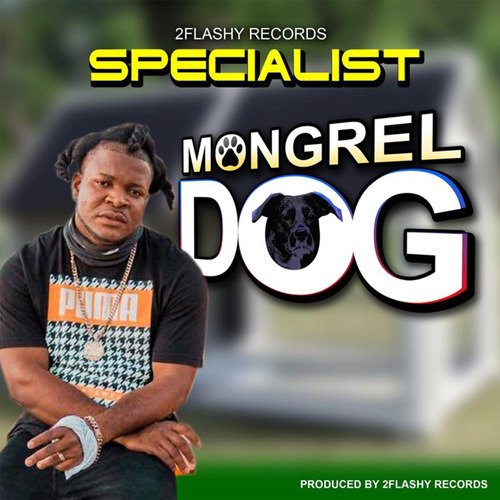 Mongrel Dog_poster_image