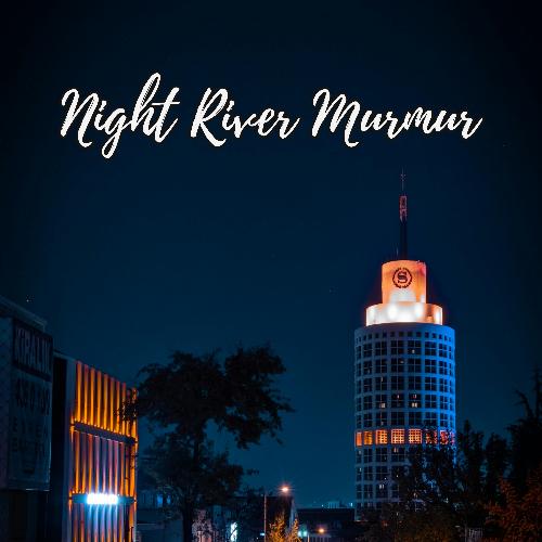 Night Silence cover art