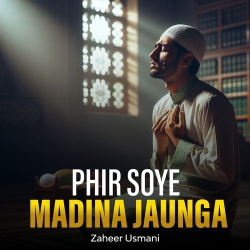 Phir Soye Madina Jaunga