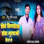 Pike Sigretwa Tora Bhulao Hiyo Ge