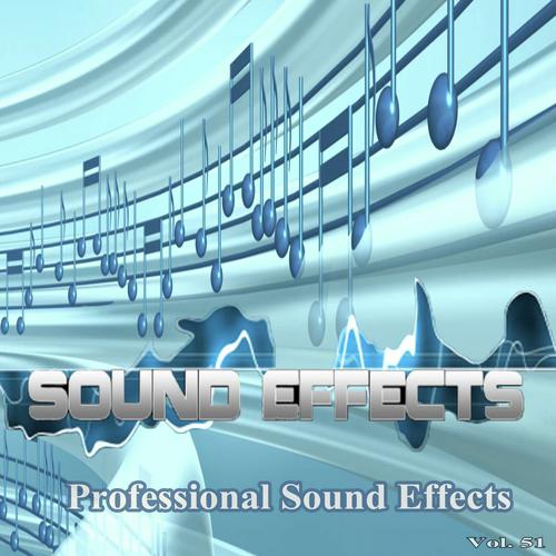 Professional Sound Effects, Vol. 51