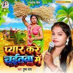 Pyar Kare Chaitwa Me