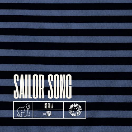 Sailor Song (DnB) cover art