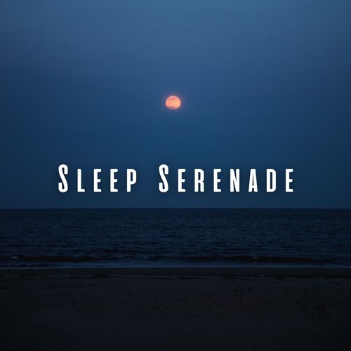 Sleep Serenade: Binaural Harmony with Gentle Ocean Waves_poster_image