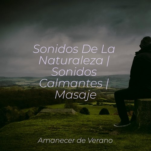 Sonidos De La Naturaleza | Sonidos Calmantes | Masaje