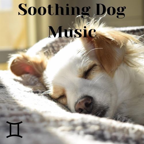 Furry Friend Lofi cover art
