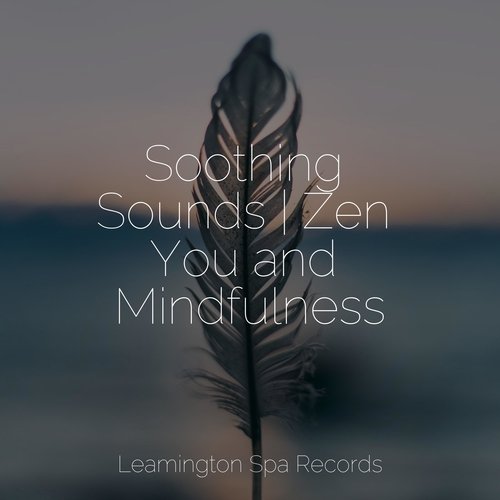 Soothing Sounds | Zen You and Mindfulness