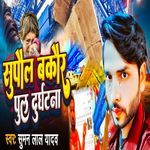 Supaul Bakour Pul Durghatna