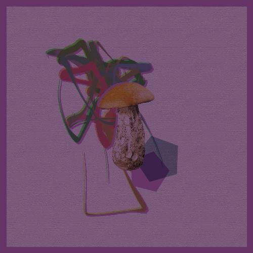 Zetton (Original Mix) cover art