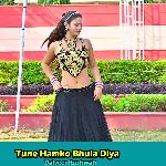 Tune Hamko Bhula Diya