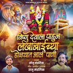 Vishnu Devala Pahun Lakhabaichya Dolyat Aal Pani