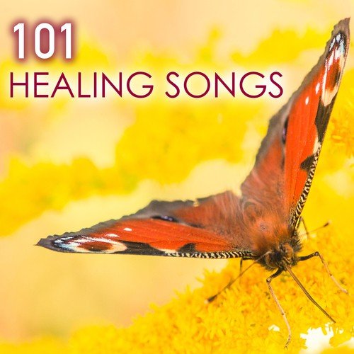 101 Healing Songs - Deep Sleep Music with Sounds of Nature for Relaxation, New Age Meditation Sounds to Help You Relax and Meditate, Natural Spa White Noise for Reiki, Yoga, Massage and Sleeping