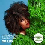 2B Luv (StoneBridge Extended Anthem Mix)