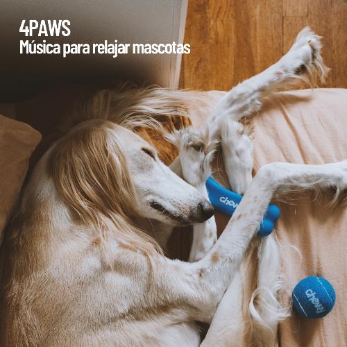 Relajación suave de mascota cover art
