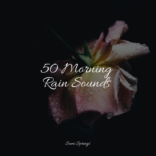 50 Morning Rain Sounds_poster_image